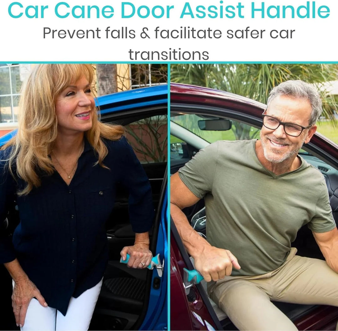 Vive Car Assist Handle
