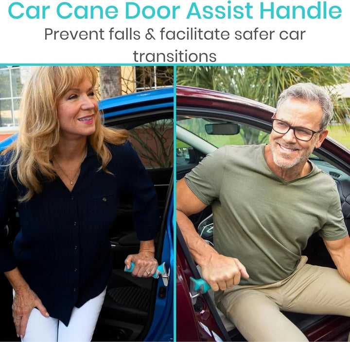 Vive Car Assist Handle